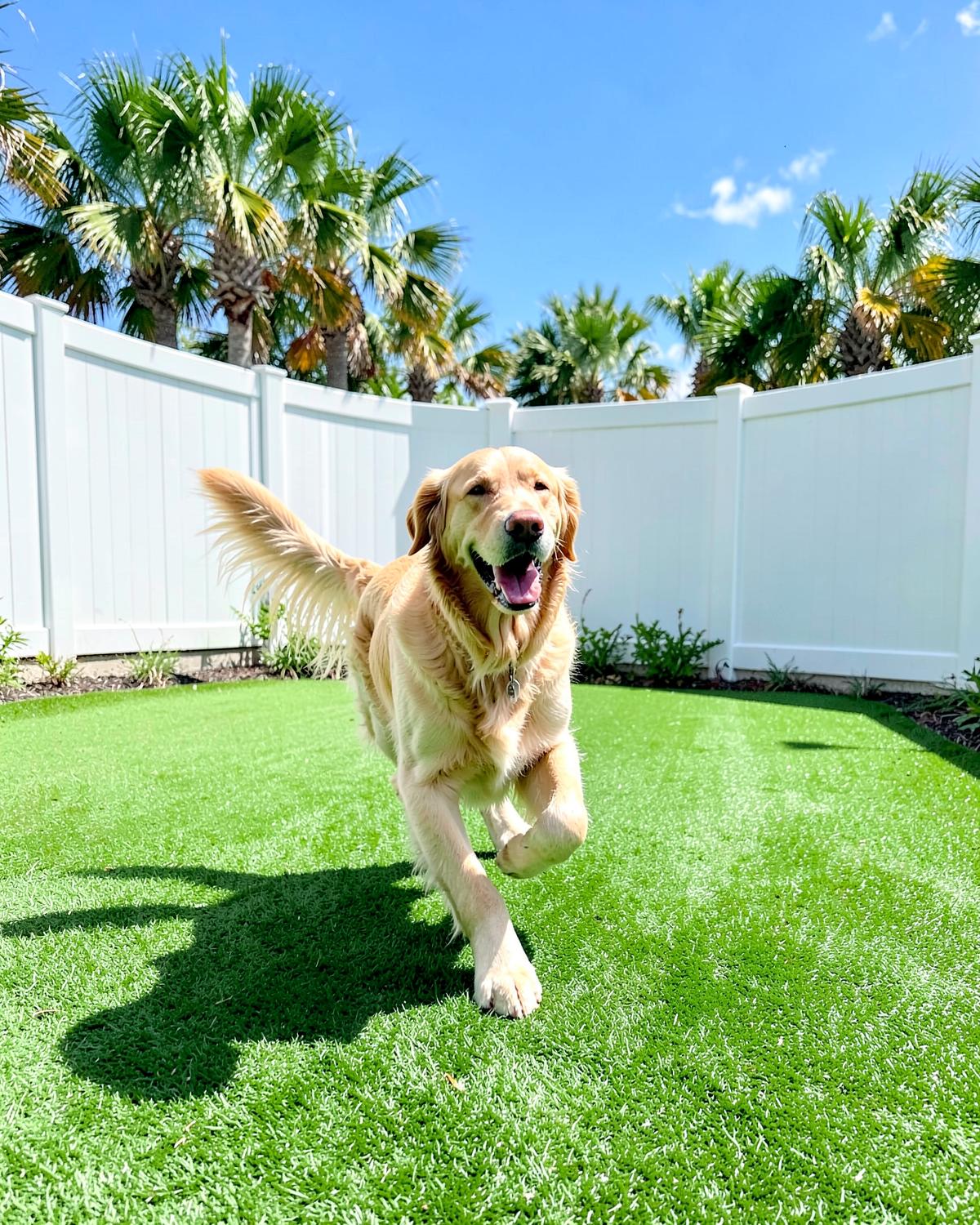 Synthetic Pet Turf artificial turf project in Florida
