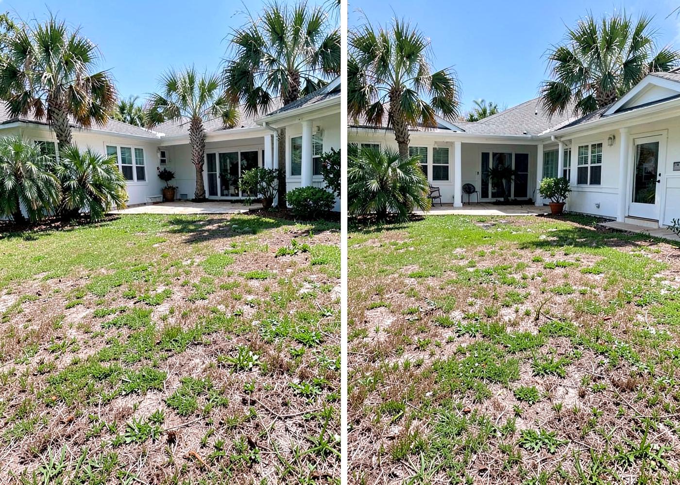 Patchy natural lawn before installation