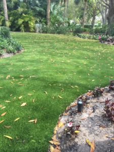 Hobe Sound Synthetic Turf 561-561-427-2003