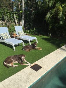 Jupiter Island Synthetic Turf 561-427-2003