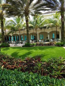 Palm Beach Gardens Synthetic Turf 561-427-2003